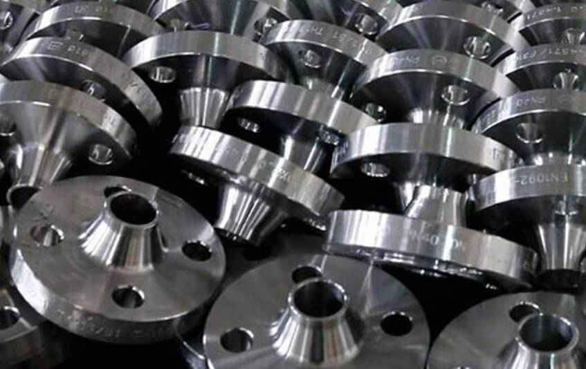 Stainless Steel 446 Flanges